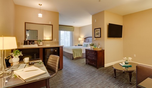 Studio Suite, 1 King Bed with Sofa bed