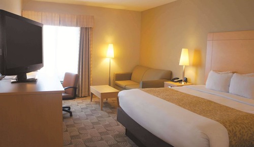 Room, 1 King Bed