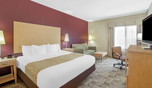 Room, 1 King Bed