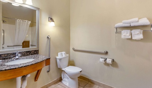Suite, 1 King Bed with Sofa bed, Accessible, Non Smoking