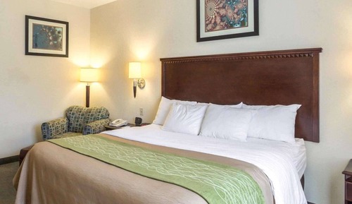 Standard Room, 1 King Bed, Non Smoking