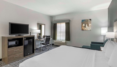 Standard Room, 1 King Bed, Accessible, Refrigerator & Microwave