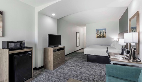 Suite, 1 King Bed, Non Smoking, Refrigerator & Microwave (with Sofabed)