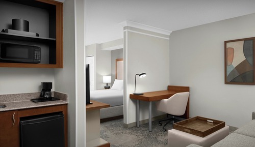 Studio, 1 King Bed with Sofa bed (Hearing Accessible)