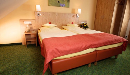 Comfort Double Room (Lily Valley, Marguerite, Tulip, Poppy)