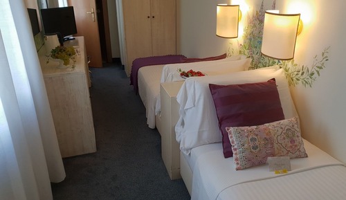 Economy Twin Room