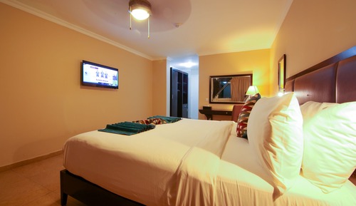 Deluxe Room, 1 Double Bed