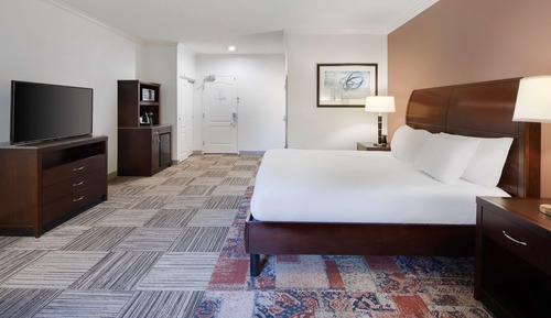 Room, 1 King Bed (Shower Only)