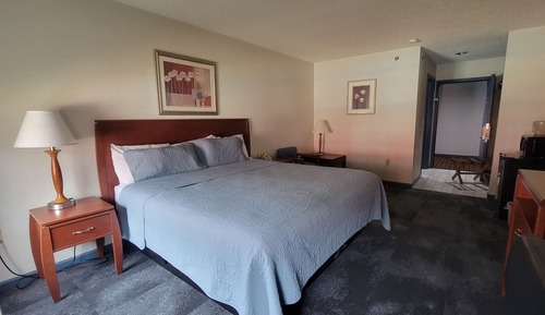 Standard Single Room, 1 King Bed, Accessible, Refrigerator & Microwave