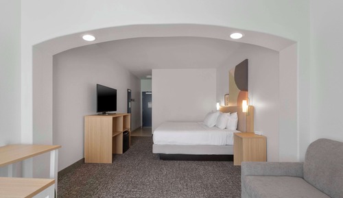 Room, 1 King Bed (with Sofa)