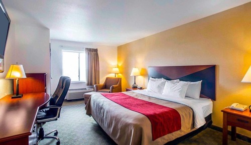 Standard Room, 1 King Bed, Non Smoking