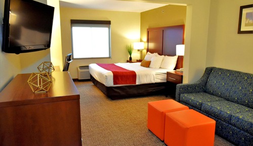 Suite, 1 King Bed with Sofa bed, Non Smoking