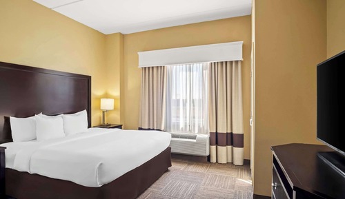 Suite, 1 King Bed with Sofa bed, Accessible, Non Smoking