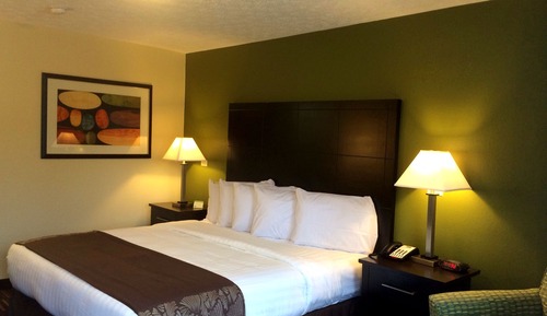 Room, 1 King Bed, Accessible Benched Tub, Non Smoking