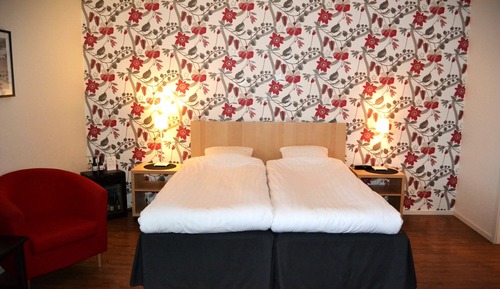 Family Room (Single Bed)