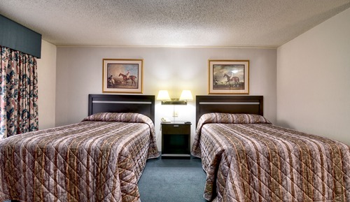 Courtside Room  2 Double Beds