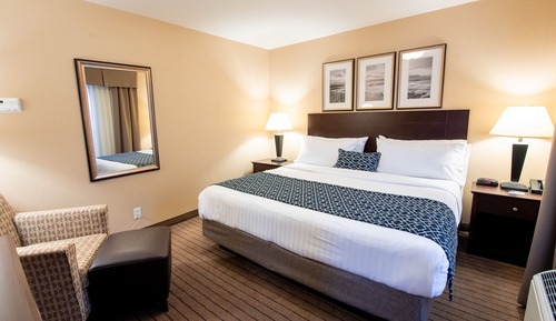 Executive Suite, 1 King Bed with Sofa bed, Non Smoking