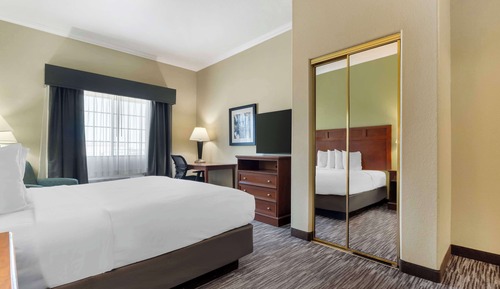 Standard Room, 1 King Bed, Accessible, Non Smoking