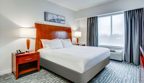 Executive Suite, 1 King Bed