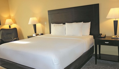 Room, 1 King Bed, Non Smoking