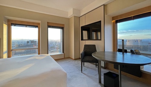 1 King Bed 