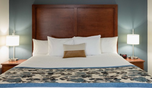 Studio Suite, 1 Queen Bed, Mobility Accessible, Non Smoking