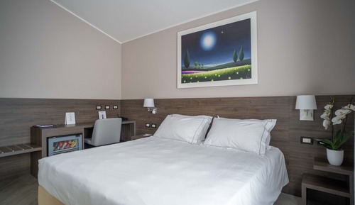 Business Double Room Single Use, 1 Queen Bed