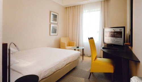 Standard Double Room Single Use, Non Smoking