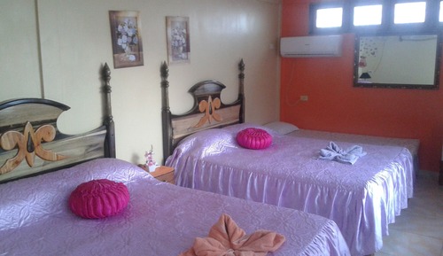 Economy Twin Room