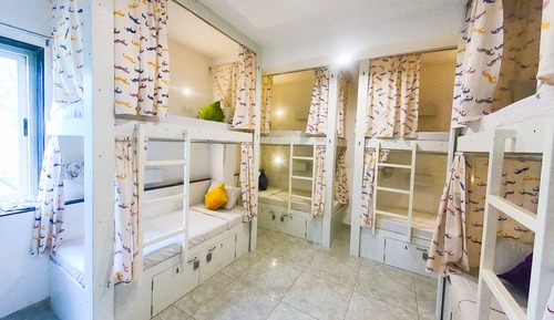 Standard 8 Bed Mixed Dorm with Cooler