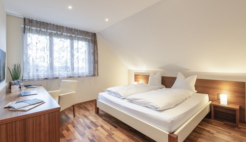 Standard Double Room, Mountain View