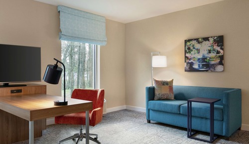 Room, 1 King Bed, Accessible (Mobility & Hearing)