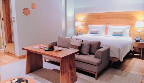 Premium Villa, 1 King Bed
