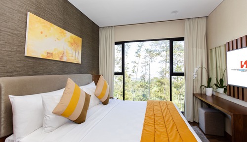 Dago Suite