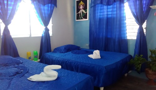 Basic Room