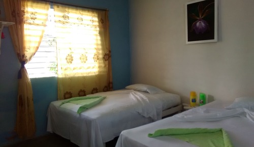 Basic Room, Multiple Beds, Courtyard View