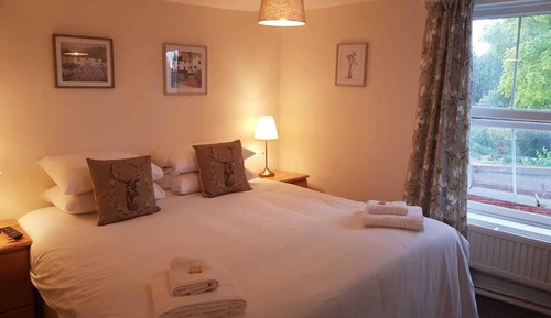 Standard Double Room (Room 6)