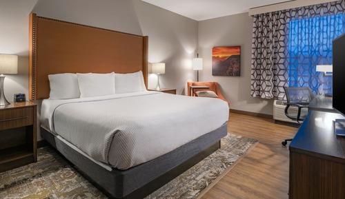 Room, 1 King Bed, Non Smoking