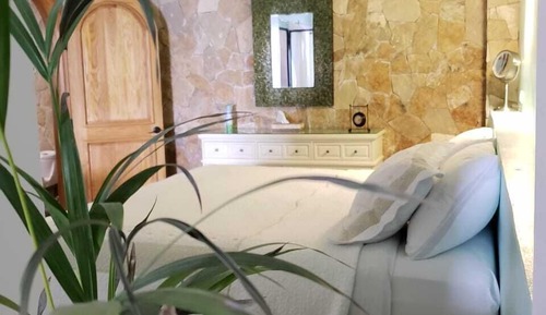 Business Room, 1 King Bed, Non Smoking, Courtyard View