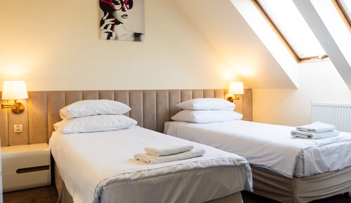 Deluxe Double or Twin Room