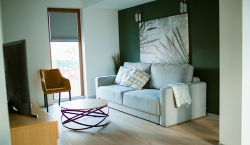 Executive Apartment, Smoking, City View