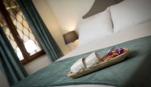 Double Room Single Use