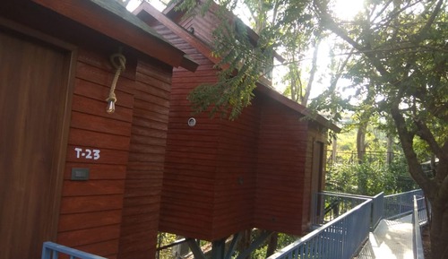 Basic Tree House