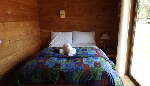 Cabin #21 - Twin Share