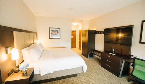 Standard Room, 1 King Bed, Accessible (Communications)