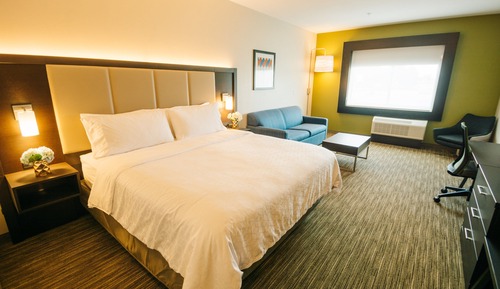 Suite, 1 King Bed with Sofa bed