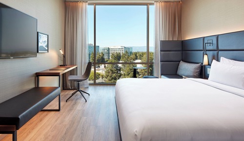 Room, 1 King Bed
