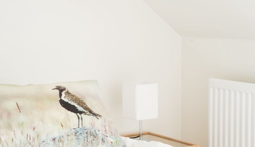 Single Room, Private Bathroom