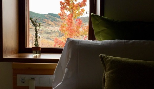 Double Room, Private Bathroom, Mountain View