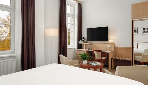 Classic Room, 1 Queen Bed, Park View